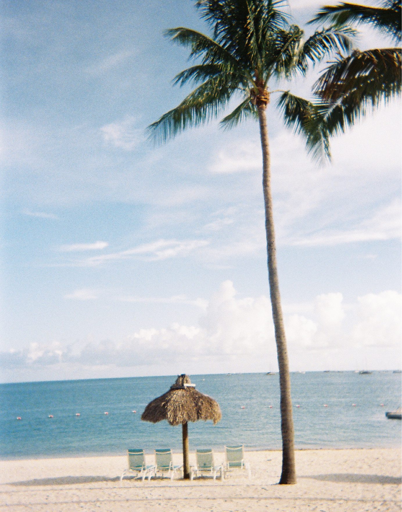 best disposable film camera!!!

#LTKSeasonal #LTKTravel #LTKStyleTip