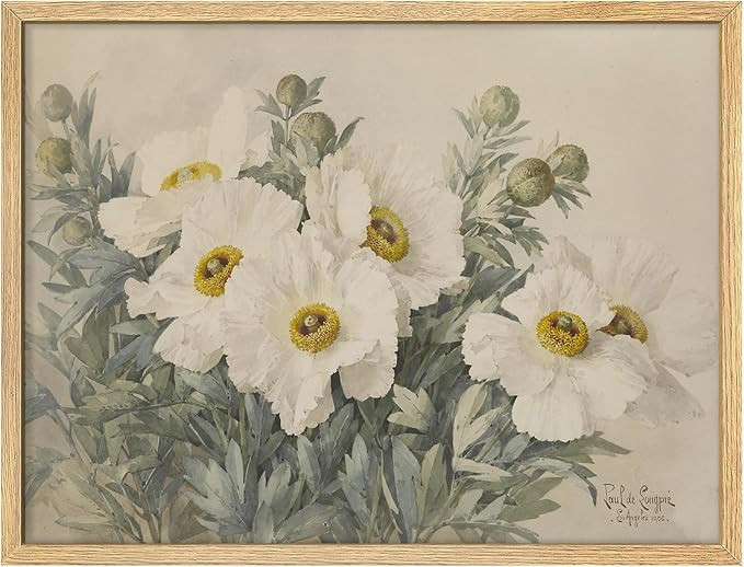SIGNWIN Framed Vintage White Daisy Flowers Wall Art, Nature Wilderness Illustrations, Minimalist ... | Amazon (US)