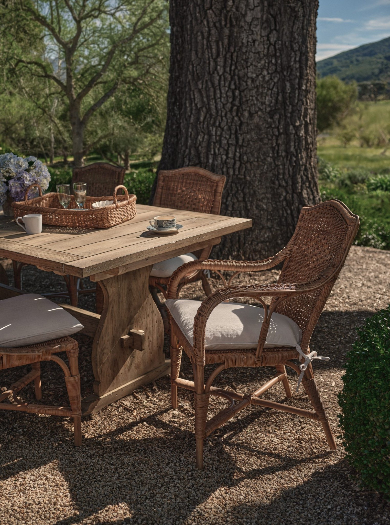 Olive Atelier x Pamela Anderson | The Sentimentalist Collection 

This isn’t just furniture—it’s that lived-in, slow, sentimental kind of home that feels collected over time. Wicker, rattan, teak… pieces that are meant to be used, loved, and passed down.

It’s giving coastal farmhouse, a little French, a bit nostalgic, and effortlessly beautiful in that “nothing feels too styled” kind of way. 

Linking my favorite pieces from the collection (aka the whole collection!) 

Follow my LTK @LetteredFarmhouse on the @shop.LTK app to view this post and get my exclusive app-only content!

#liketkit #LTKSaleAlert #LTKHome #LTKSeasonal
@shop.ltk
https://liketk.it/66JC5

#LTKMothersDay #LTKselfcare #LTKmomlife