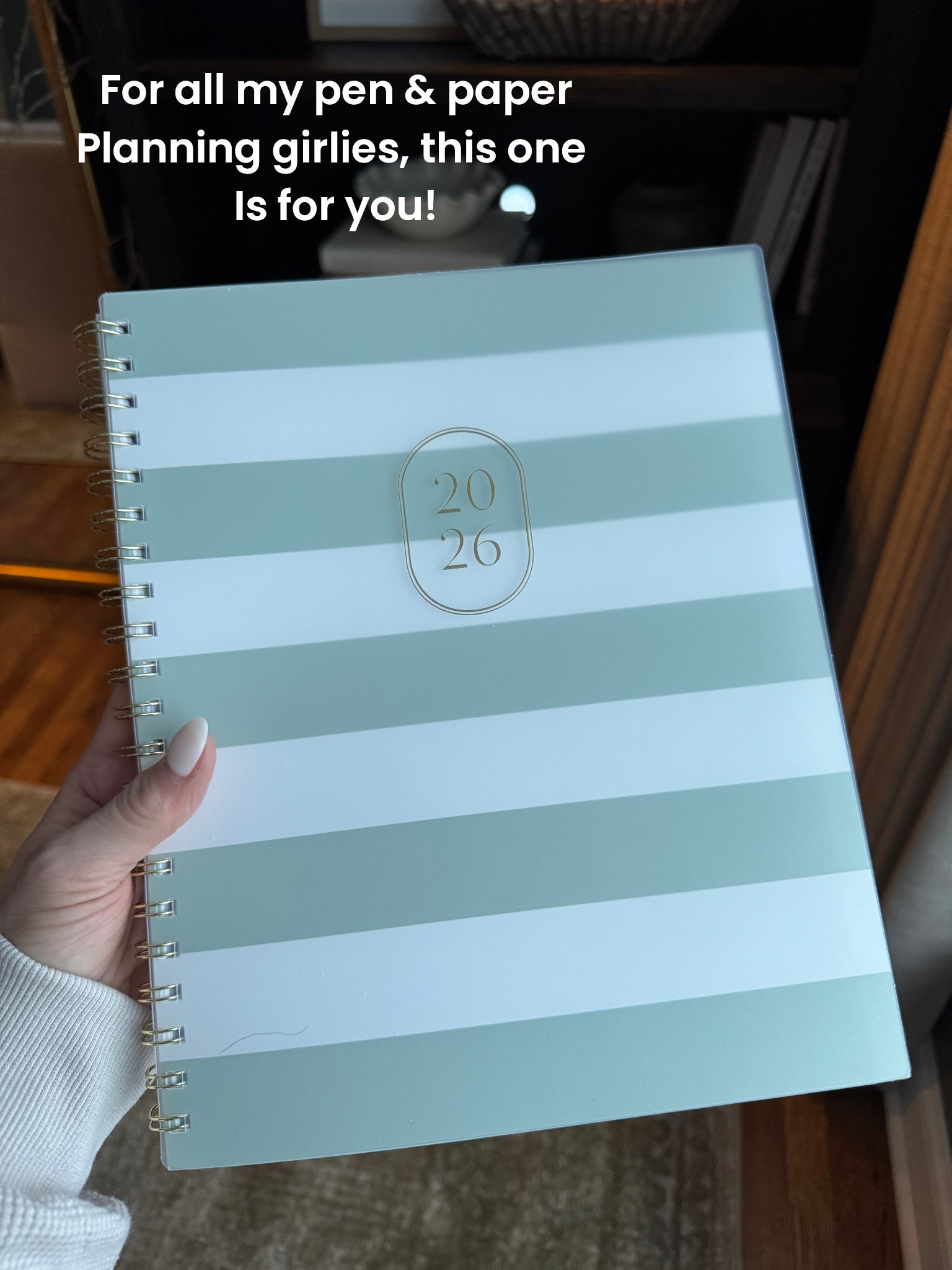 My go to planner year after year!! Target always delivers for my early planning! 

#LTKFindsUnder50 #LTKmomlife #LTKOver40