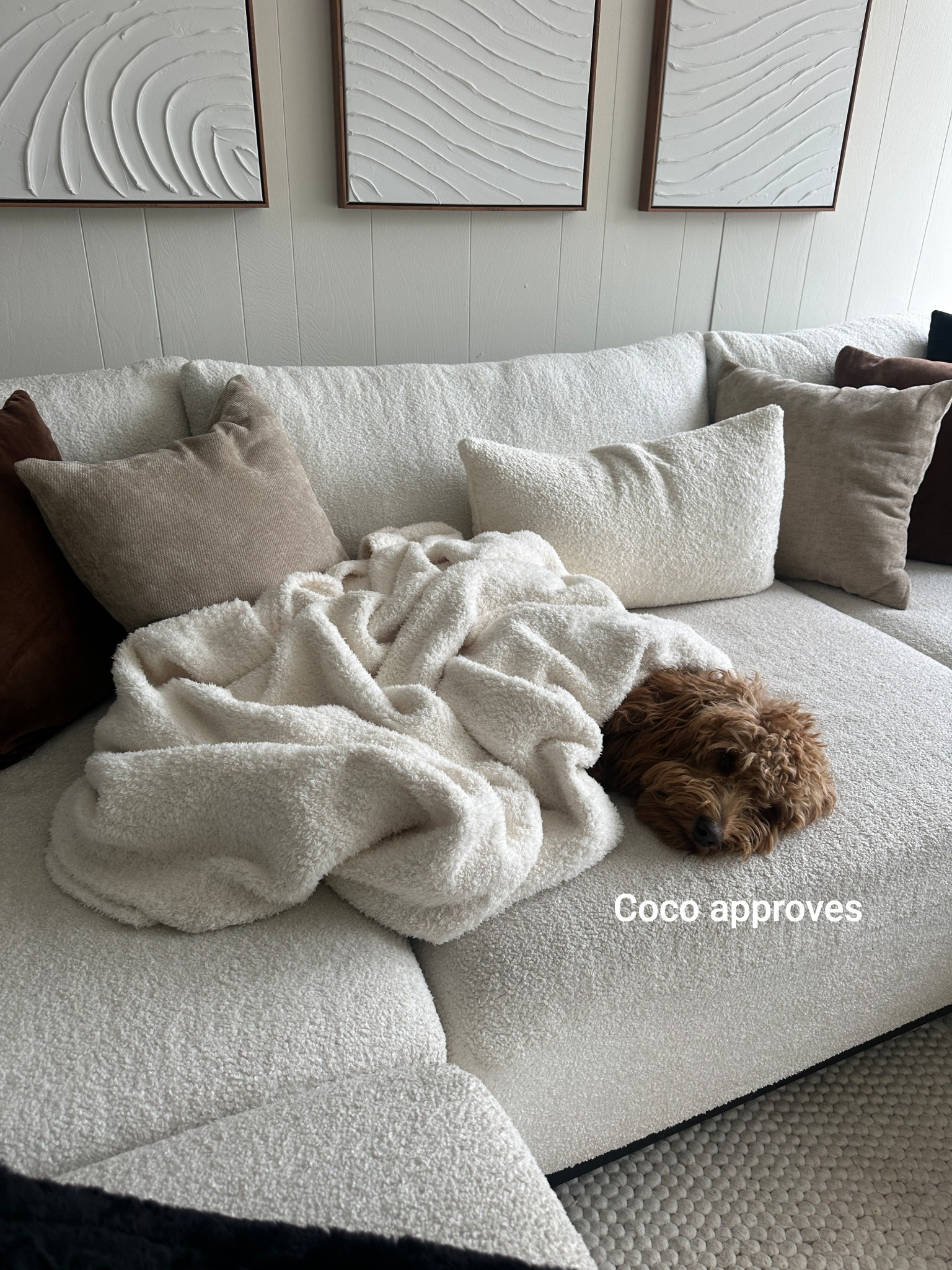 barefoot dreams throw - in cream 

#LTKHome #LTKFamily #LTKKids