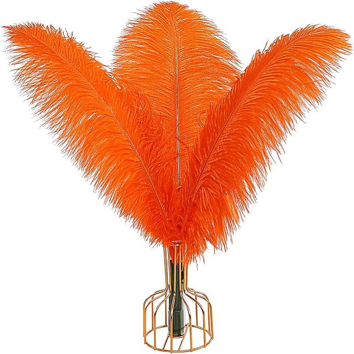 THARAHT Orange Ostrich Feathers 12pcs Large Natural Bulk 14-16Inch 35cm-40cm for Wedding Party Ce... | Amazon (US)