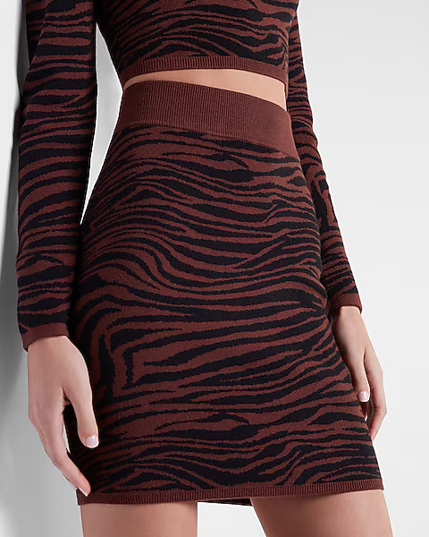 Zebra Print Mini Sweater Skirt | Express