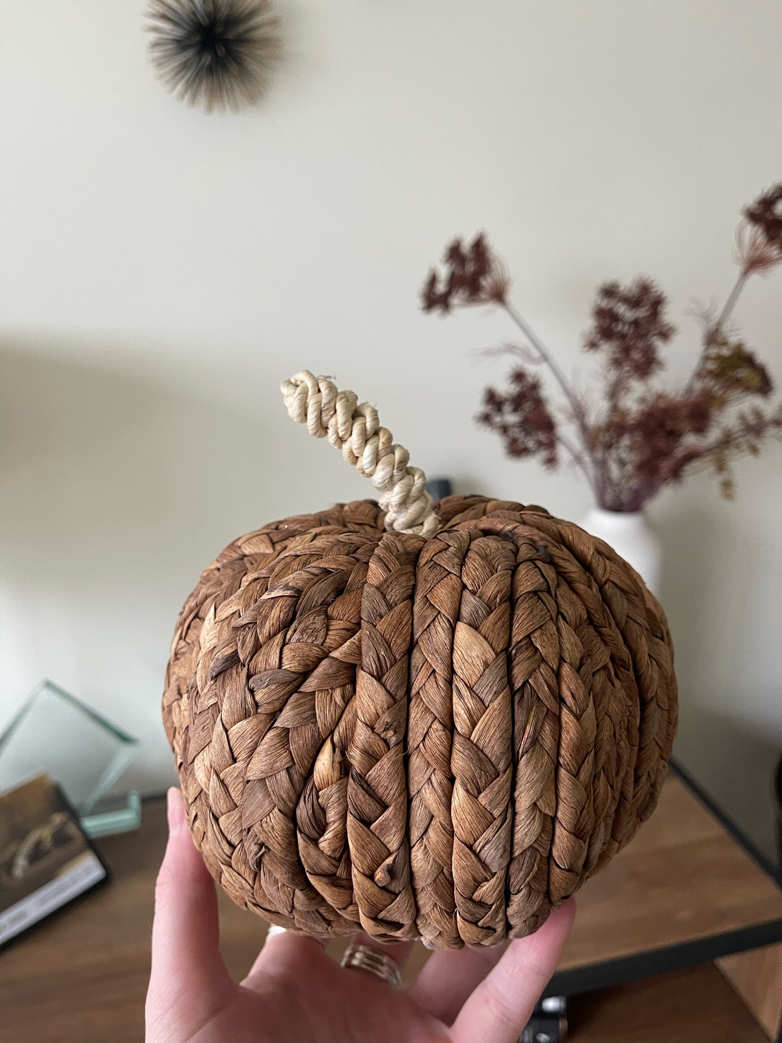 target pumpkin round-up! 

#LTKSeasonal #LTKunder100