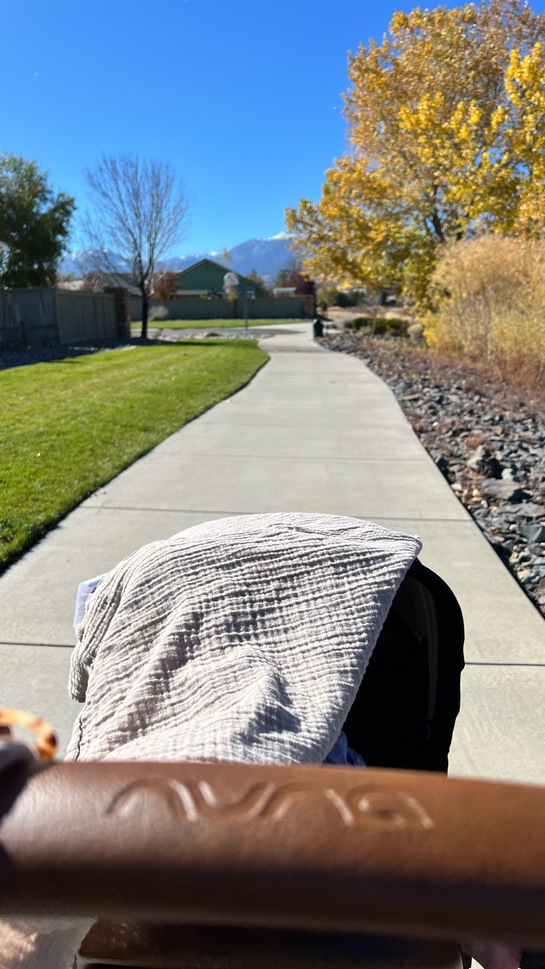 Getting our steps in everyday! 

Chloe is starting to outgrow her stroller (🥲) and only likes the jogging stroller when I’m running. I’m still dealing with postpartum knee issues so for now we just stick with the carrier! 

#brooks #runningshoes #weightlossjourney 

#LTKdayinmylife #LTKmomlife #LTKActive
