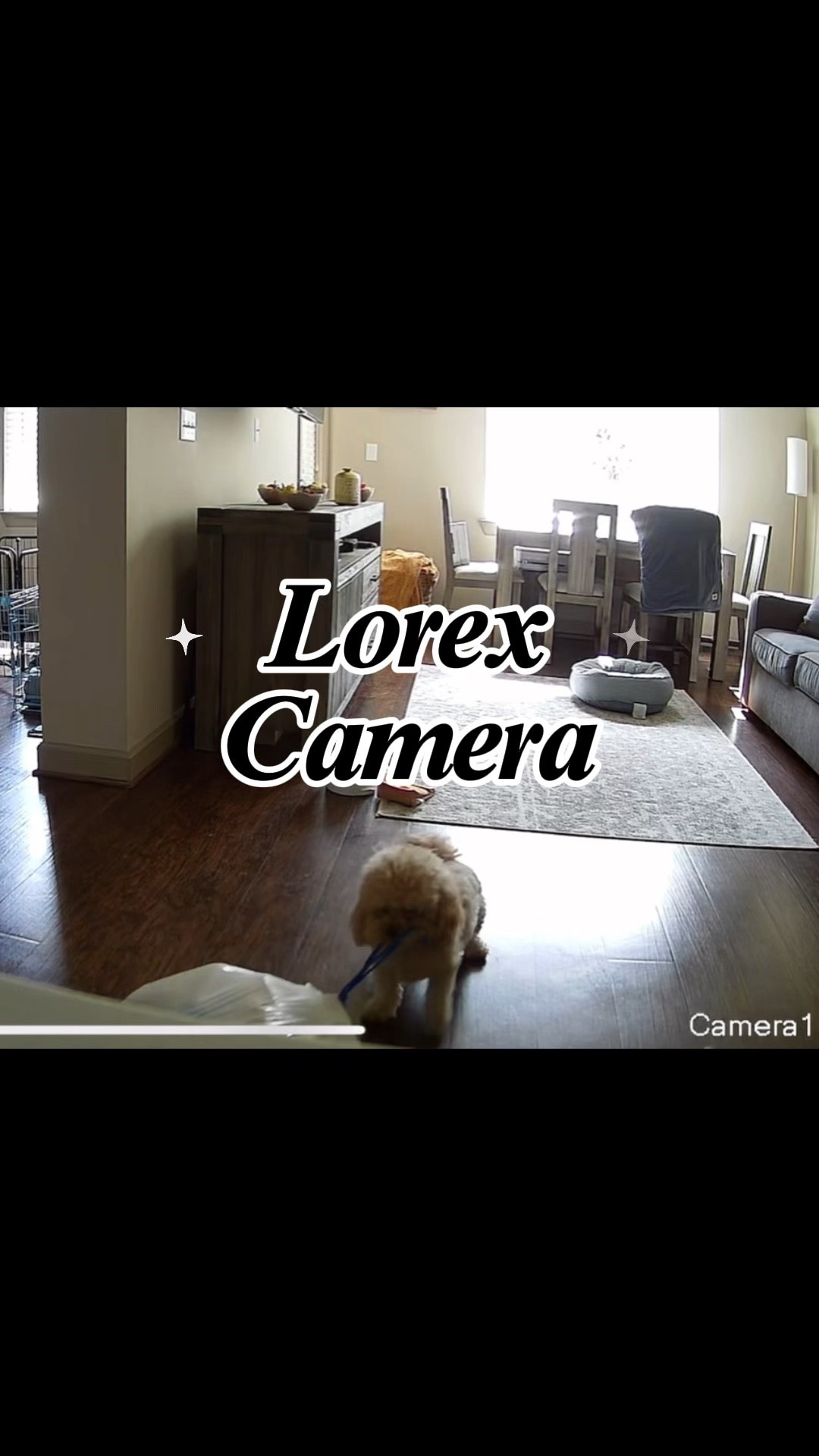 Thankfully I have my Lorex Camera so I can see everything little Bentley is up to 🤣

#LTKdayinmylife