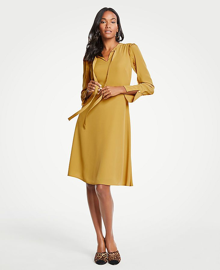 Ruffle Sleeve Flare Dress | Ann Taylor (US)