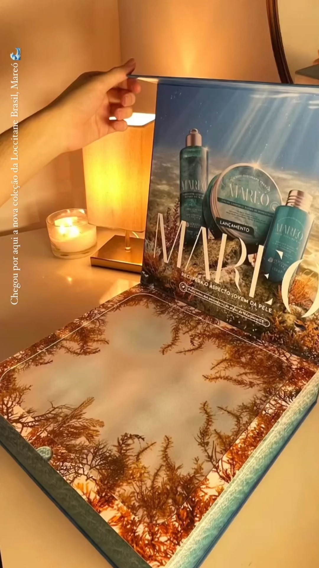 Mareó 🌊




#LTKbrasil