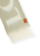 Loewe scarf | 24S US
