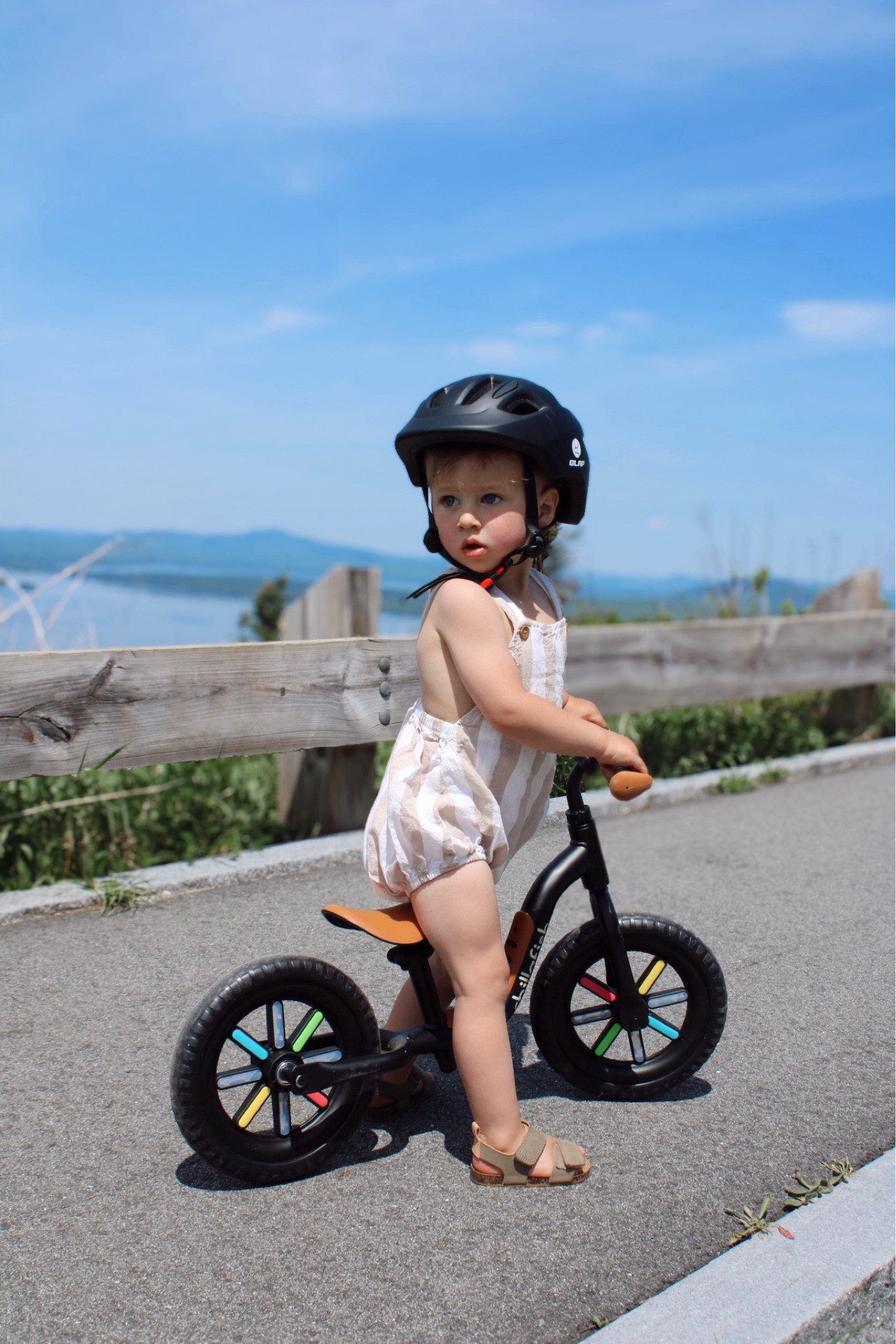 The cutest bike for your toddler! We do not leave the house without it 

#LTKKids #LTKActive #LTKFamily