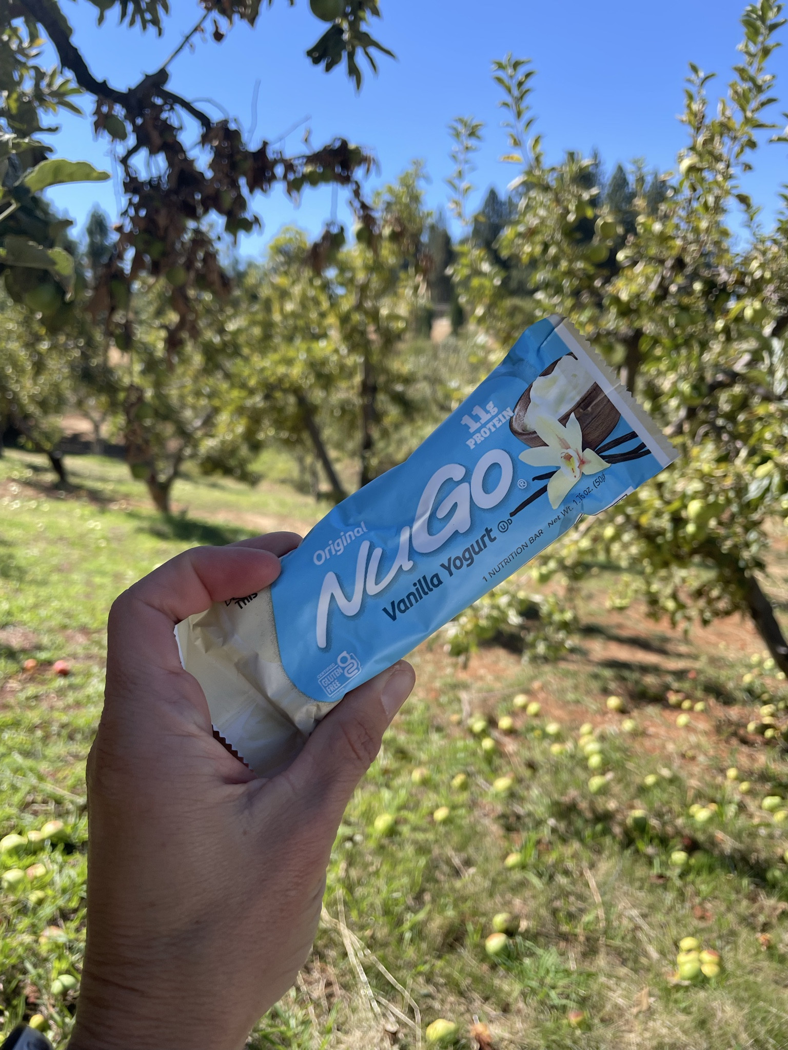 NuGo Bars are my go-to for a quick, protein-packed snack. With flavors like chocolate, mint, and peanut butter, they’re perfect for pre- or post-workout fuel, on-the-go energy, or a healthier sweet treat. Delicious, convenient, and packed with nutrients to keep you fueled all day.

Keywords included: NuGo Bars, protein snack, healthy on-the-go bar, post-workout fuel, high-protein snack.

#LTKSeasonal #LTKActive #LTKHalloween