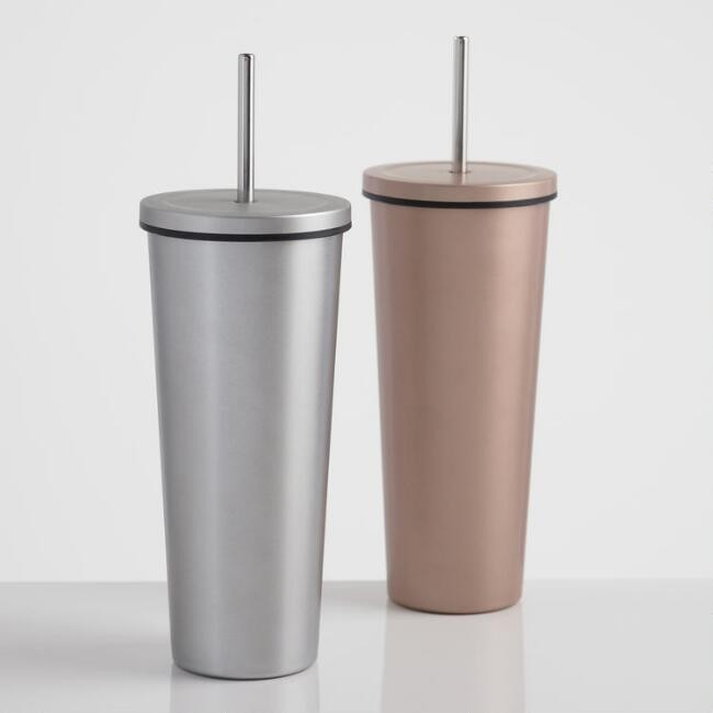 Matte Metallic Double Wall Cup with Straw Set of 2 | World Market
