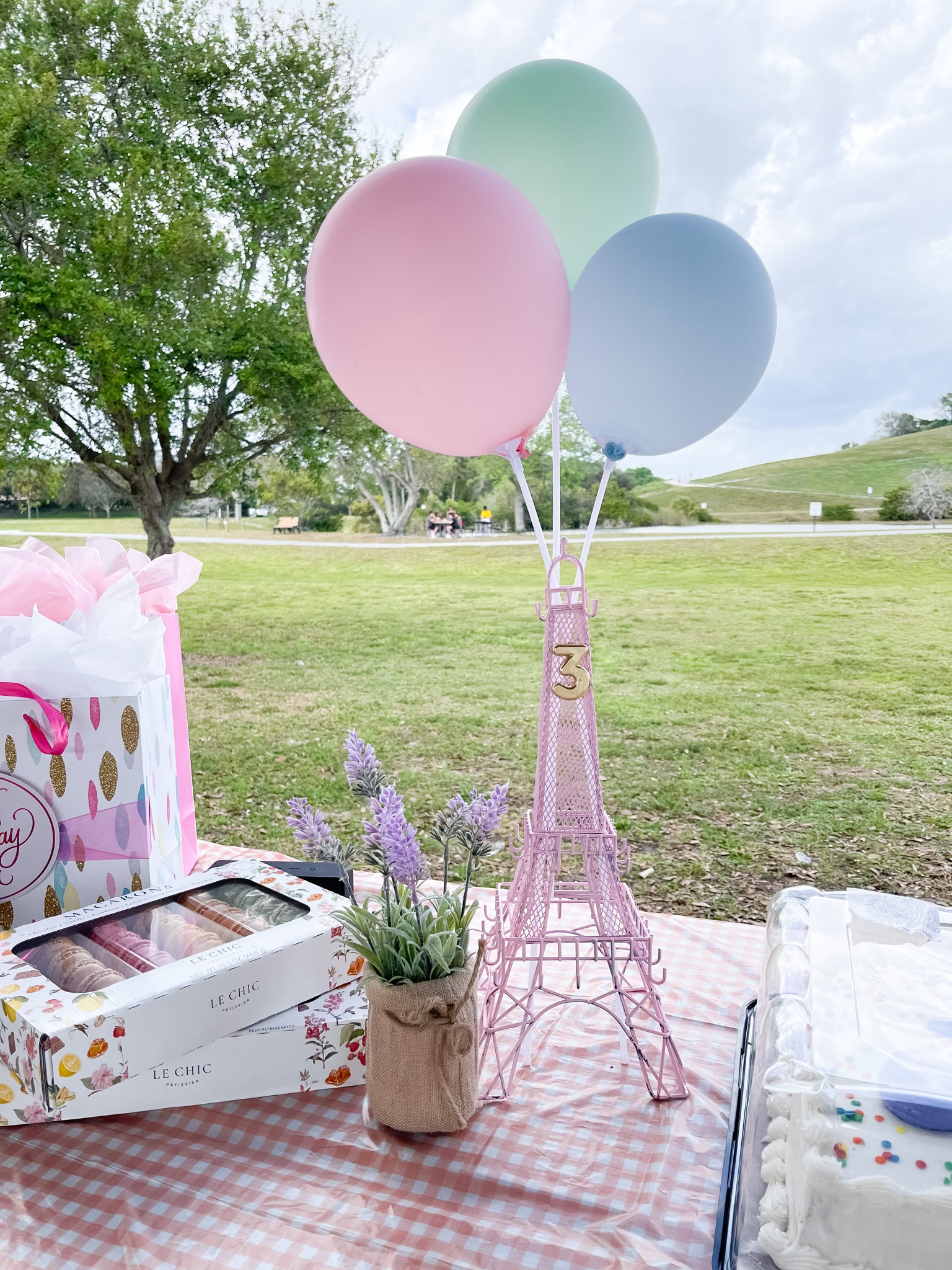 Paris Picnic 3rd Birthday Party. 

Eiffel Tower was thrifted and spray painted pink. There is a gold “3” candle on the Eiffel Tower. We cut off any edges so that it looked like a regular number. Then we hot glued it on. Balloons were macaron colored, and of course a lavender plant to make it French! It was a faux plant, but you could easily find real dried lavender.

#LTKstyletip #LTKkids #LTKparties