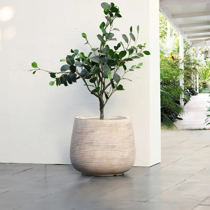 Shawnette Handmade Pot Planter | Wayfair North America