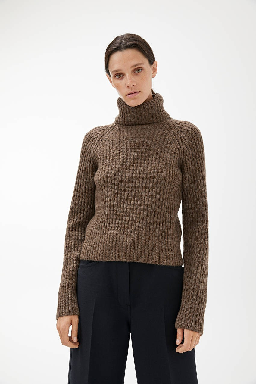 Cashmere Roll-Neck Jumper | ARKET (US&UK)