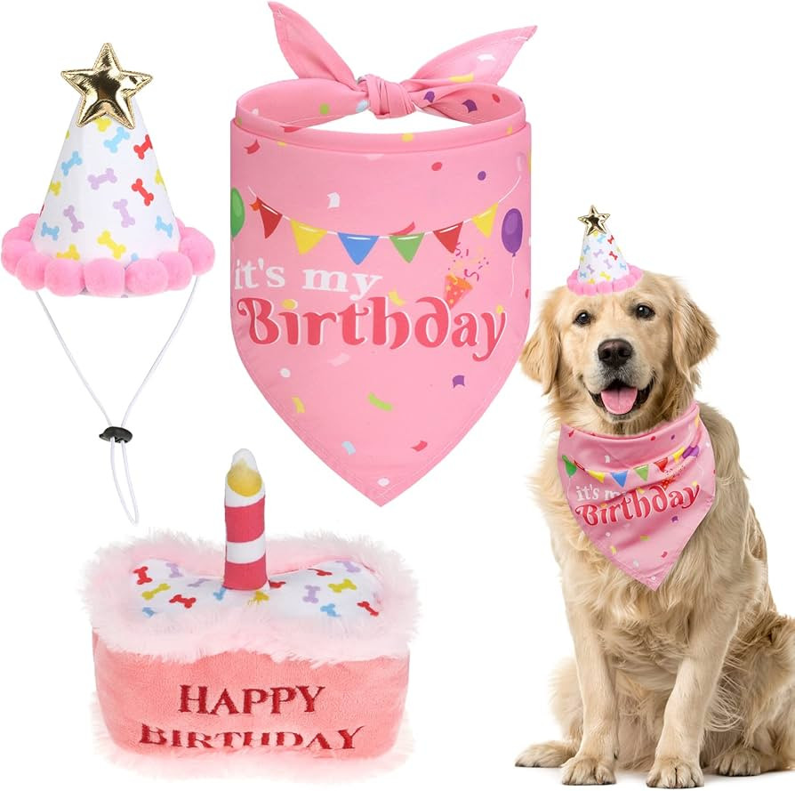 EXPAWLORER Dog Birthday Outfit - Cute Hat Bandana Scarf and Squeaky Cake Dog Toy for Birthday Par... | Amazon (US)