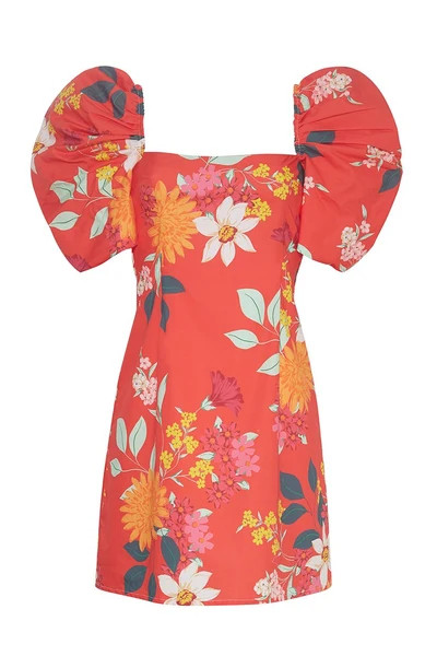 Kelly Dress | Cara Cara New York