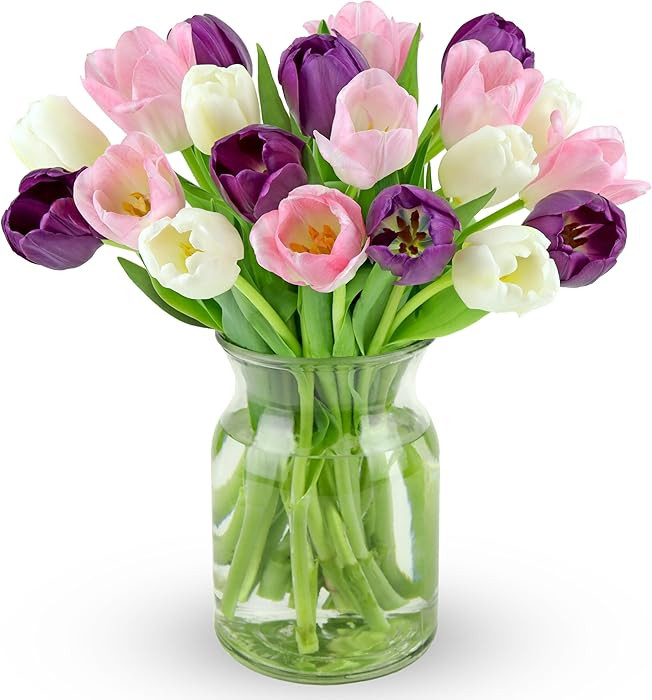 Benchmark Bouquets - White, Pink, Purple Tulips - Fresh Flowers for Delivery - Mothers Day Gifts ... | Amazon (US)