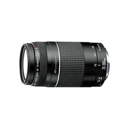 Canon EF - Telephoto zoom lens - 75 mm - 300 mm - f/4.0-5.6 III USM - Canon EF | Walmart (US)