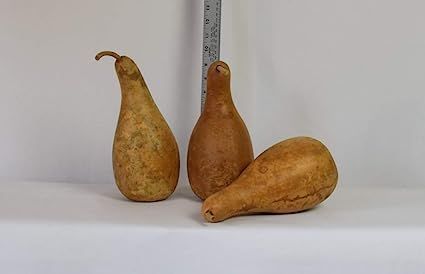 Box of 3 Dried and Cleaned 8" - 10" Penguin Gourds | Amazon (US)