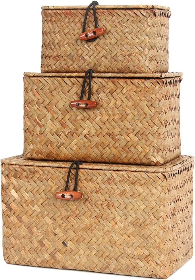 FEILANDUO Shelf Baskets with Lid Set of 3 Handwoven Seagrass Storage Box Wicker Basket Desktop Ma... | Amazon (US)