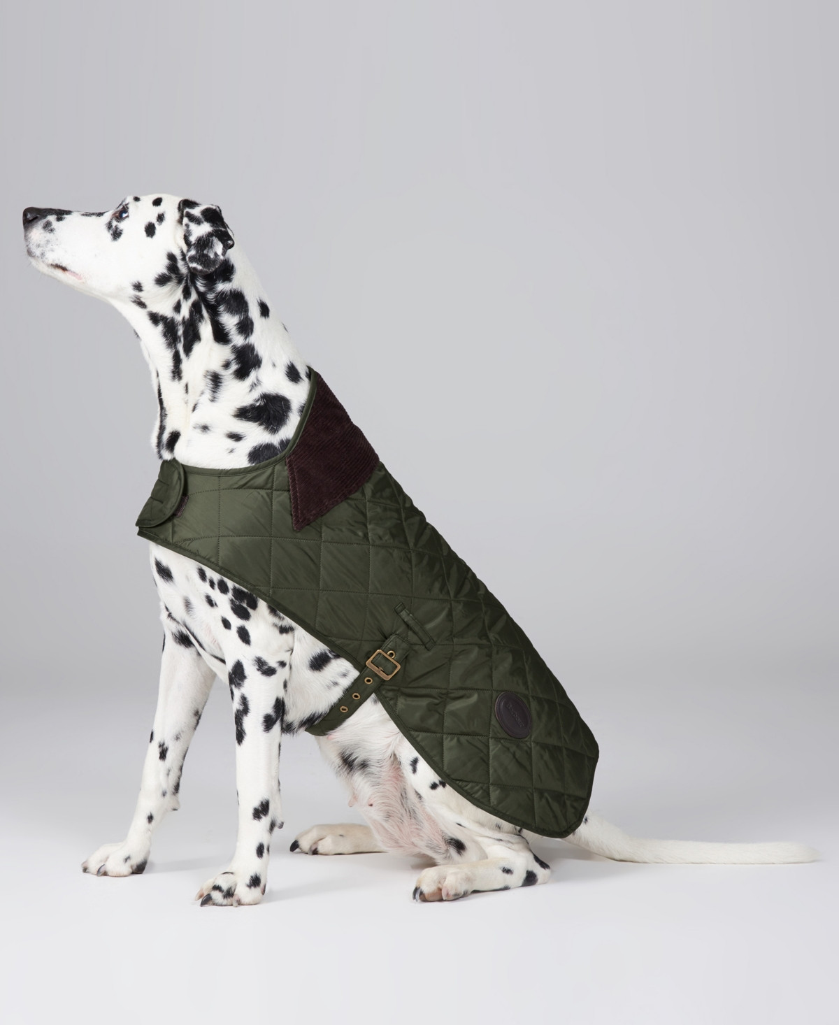 Barbour Quilted Dog Coat - Olive | Macy's
