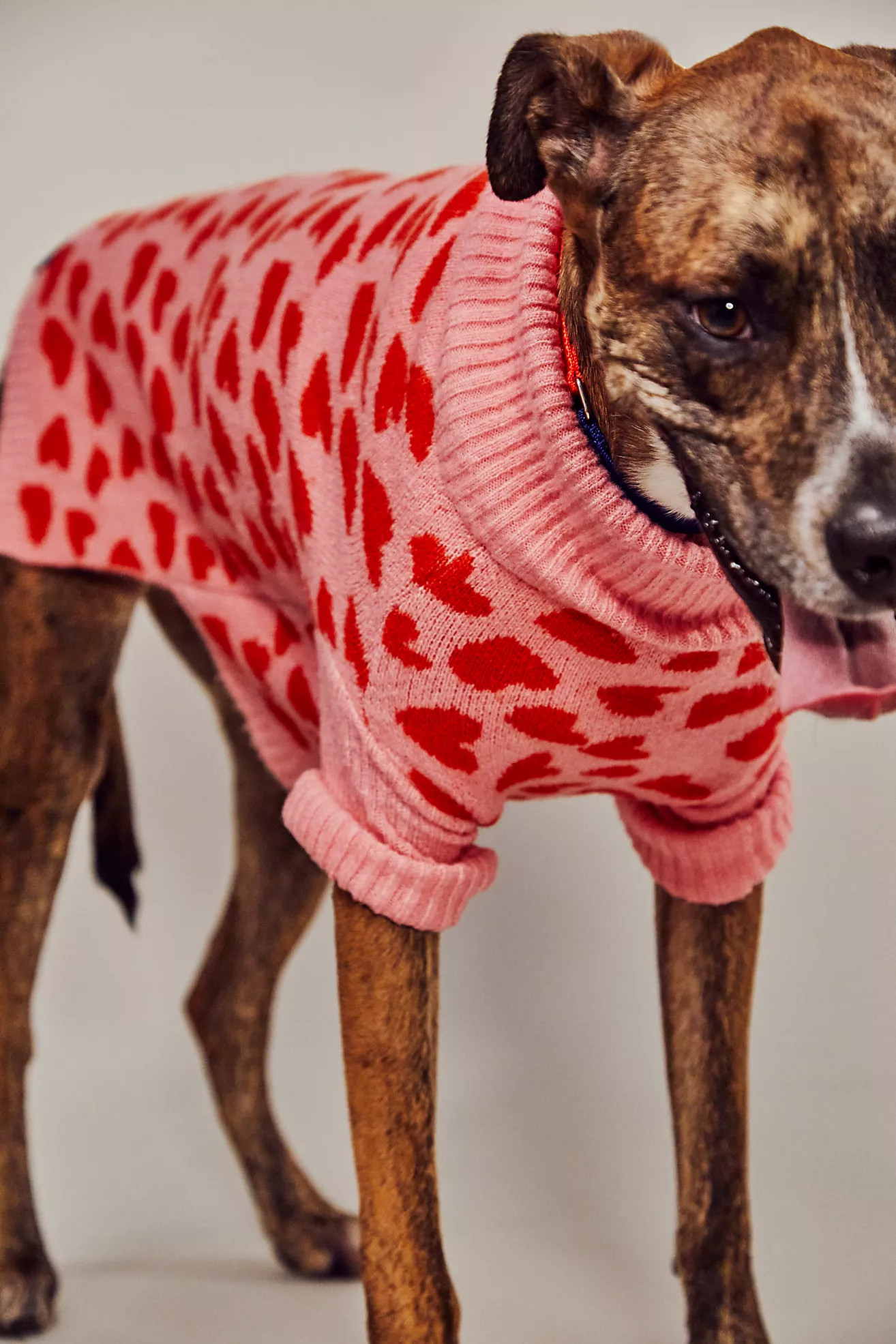Little Beast The Love Dog Sweater | Free People (Global - UK&FR Excluded)