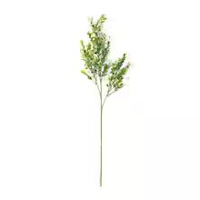 Sweet Grass Stem by Ashland® | Michaels Stores