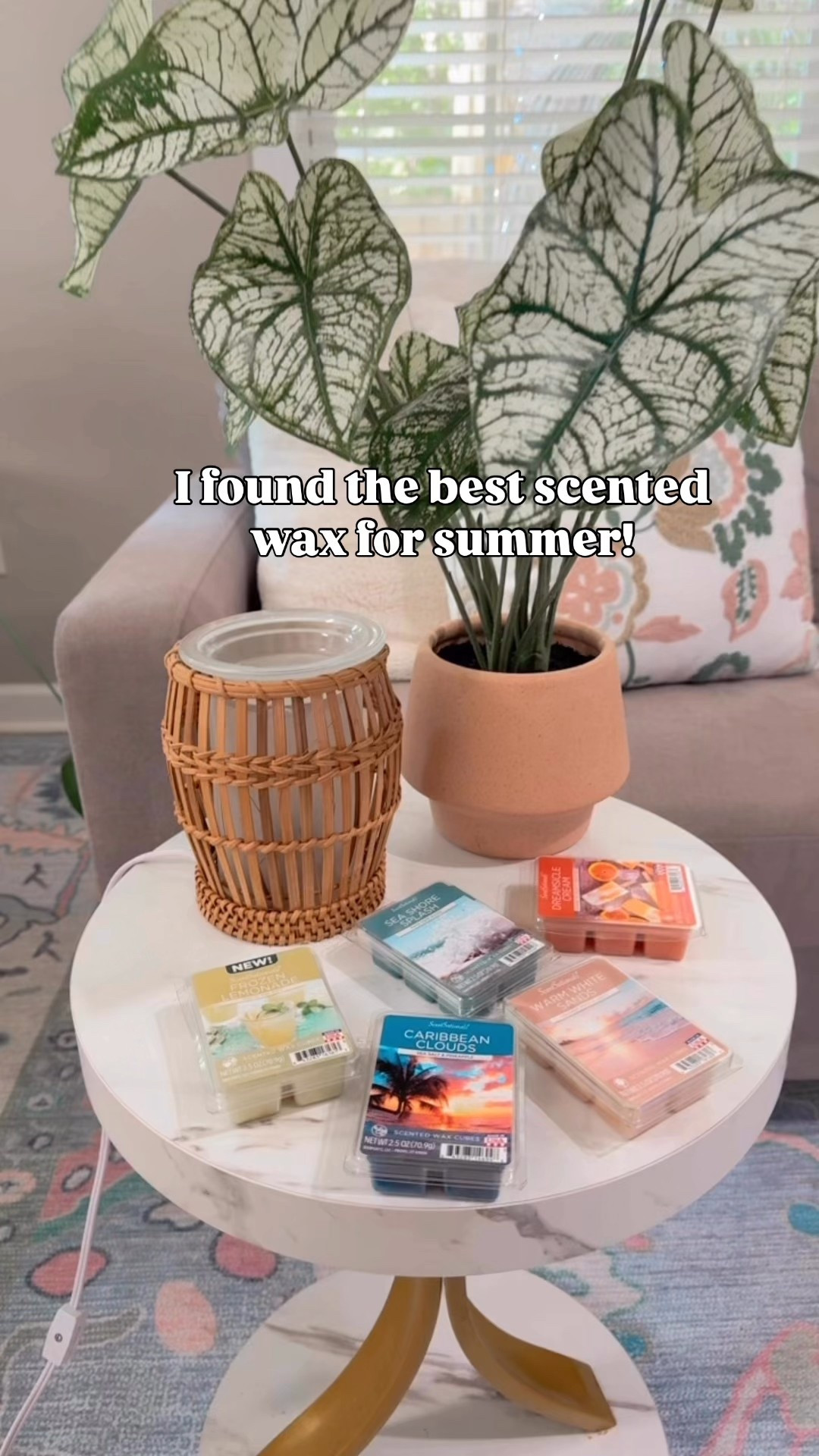 ScentSationals Wax Melts 

#LTKFindsUnder50 #LTKFamily #LTKHome