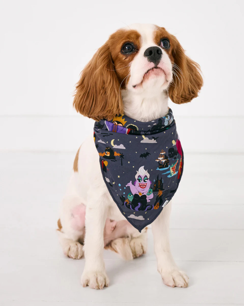 Disney Villains Pet Bandana | Little Sleepies
