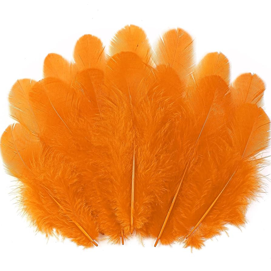 Soarer 300pcs Orange Rooster Feathers Bulk - 3-5inch Craft Feathers for Wedding Home Party, Dream... | Amazon (US)