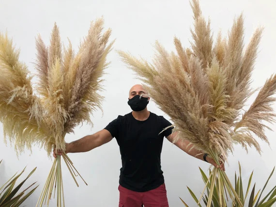 Large (10ct) PAMPAS GRASS - Natural Pampas Bouquet - Cortaderia - Dried Pampas Grass Decor - Boho... | Etsy (US)