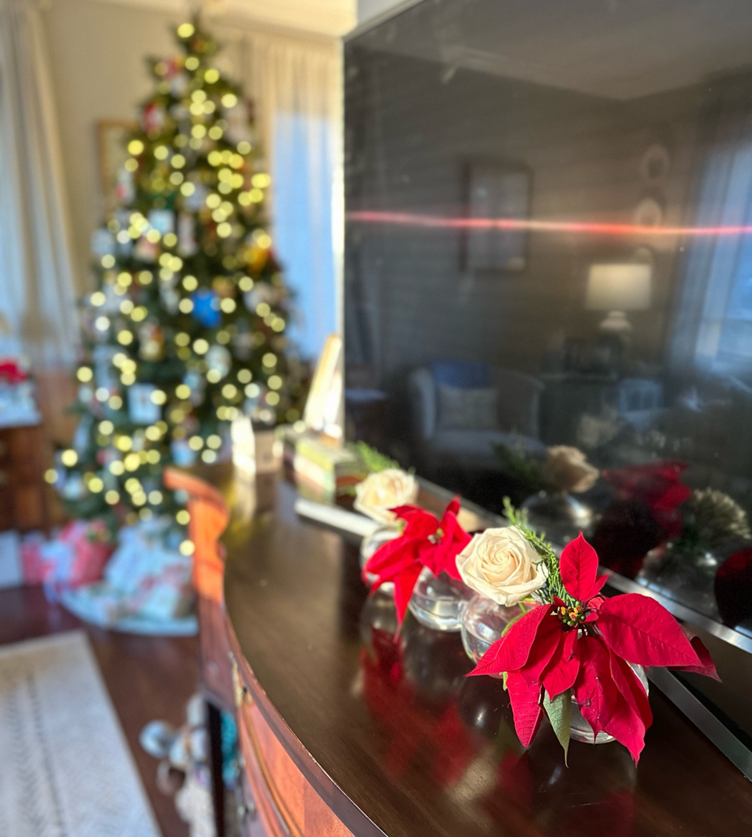 Adorable Amazon caterpillar vase perfect for fallen Poinsettias this season! I was gifted this by my sister-in-law for Christmas and will definitely be copying the gift ideas for friends. I love how easy it is to make an arrangement with the connected clear vase and it’s the perfect height for hiding the base of our tv  

#LTKfindsunder50 #LTKhome #LTKGiftGuide
