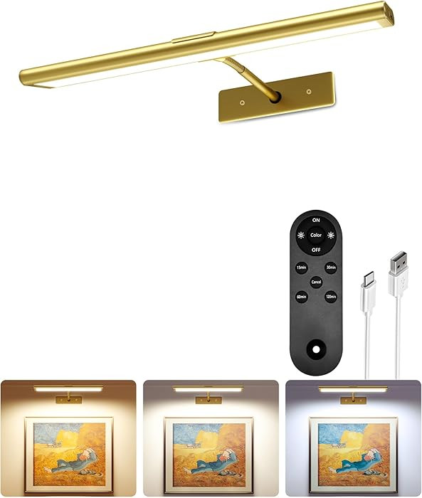 EZVALO Picture Light for Wall, 4800mAh Rechargeable Wireless Remote, 13in Dimmable Magnetic LED A... | Amazon (US)