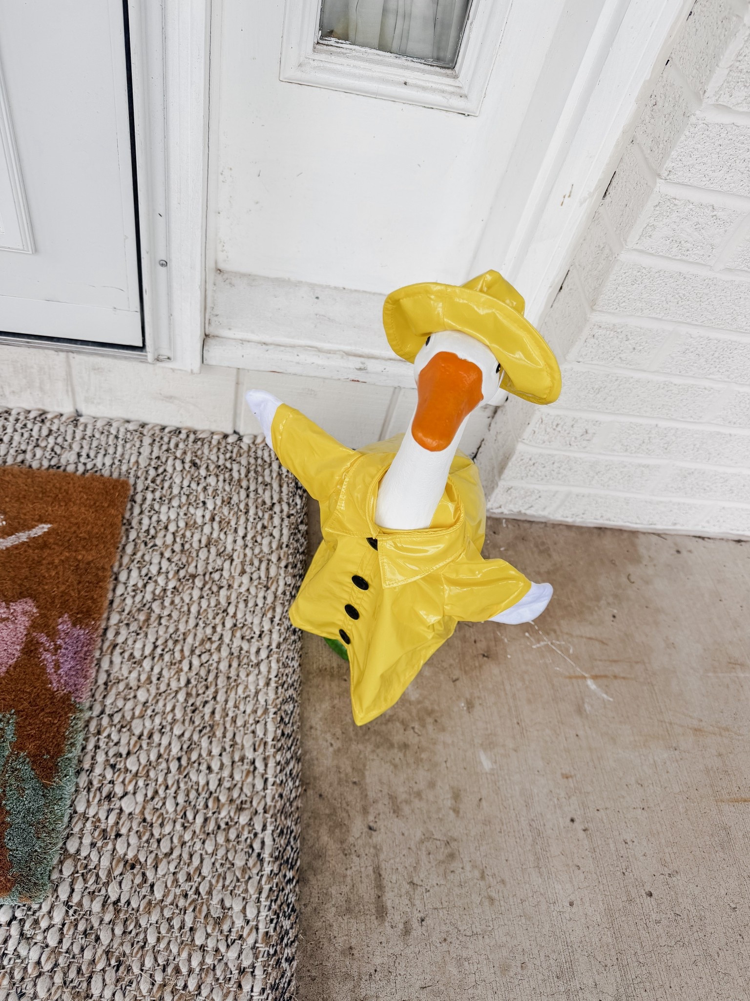 Porch goose
Porch goose outfits 

#LTKHome #LTKSeasonal #LTKdayinmylife