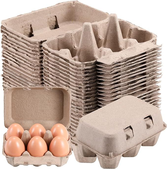 Half Dozen Egg Cartons 25 Pack, Blank Natural Pulp Egg Cartons 6 Count for Chicken Eggs Reusable,... | Amazon (US)
