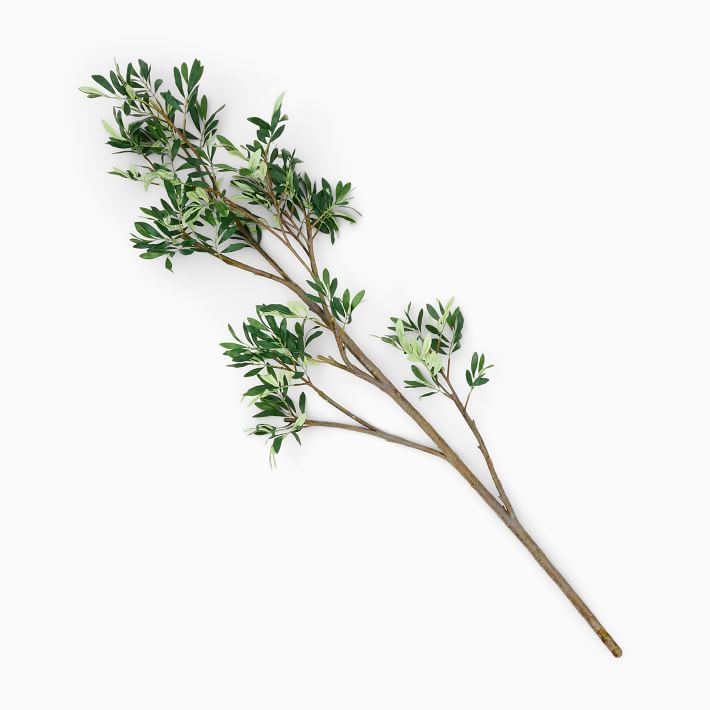 Faux Black Olive Branch | West Elm (US)