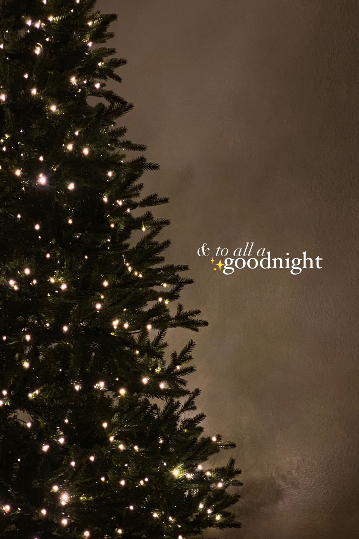 #LTKGiftGuide #LTKHoliday #LTKSeasonal