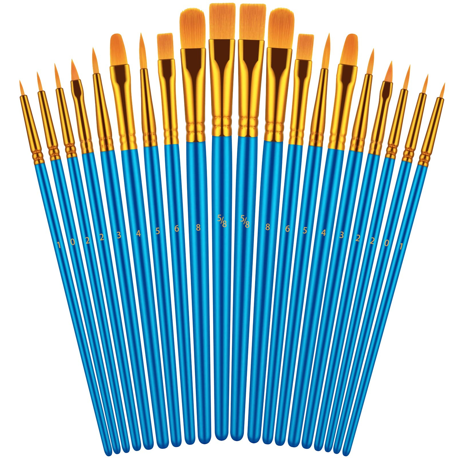 Paint Brushes Set for Acrylic Painting, 20 Pcs Oil Watercolor Acrylic Paint Brush, Artist Paintbr... | Amazon (US)