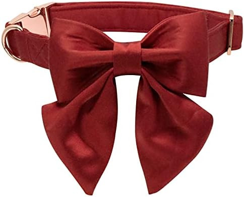 Lionet Paws Bowtie Dog Collar - Comfortable Silk Dog Collar with Detachable Bow Tie for Small Dog... | Amazon (US)