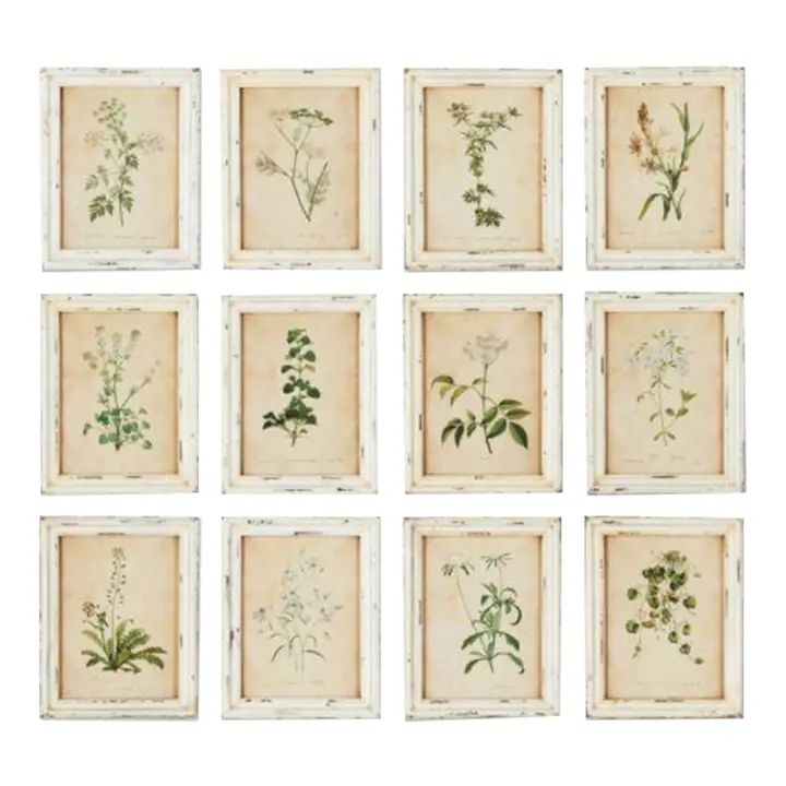 Framed Wild Flower Botanicals - Set of 12 | Chairish