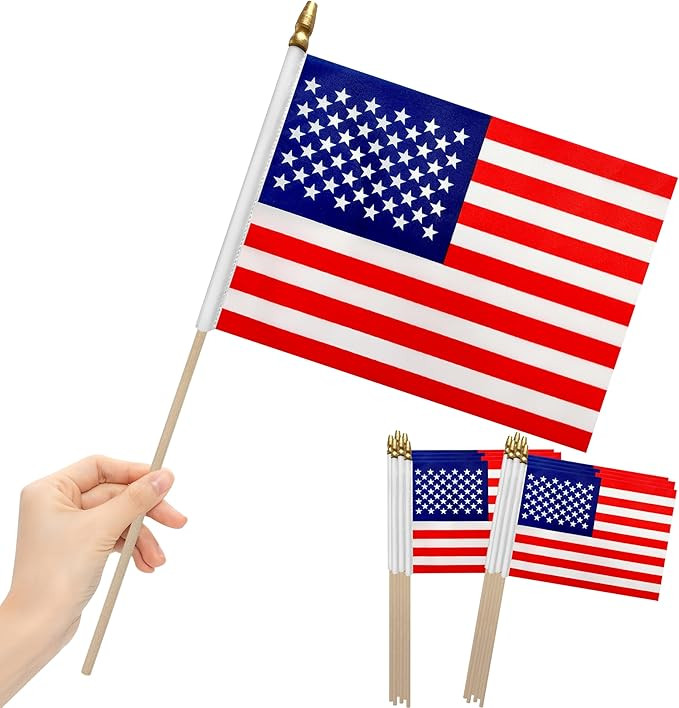 12Pcs 8\u00d712 Inch Small American Flags on Stick Mini USA Flags US Handheld Flag for Outside,Ve... | Amazon (US)