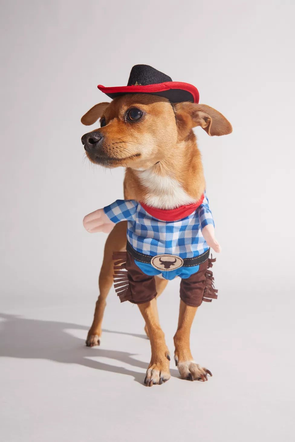 Cowboy Pet Costume | Urban Outfitters (US and RoW)