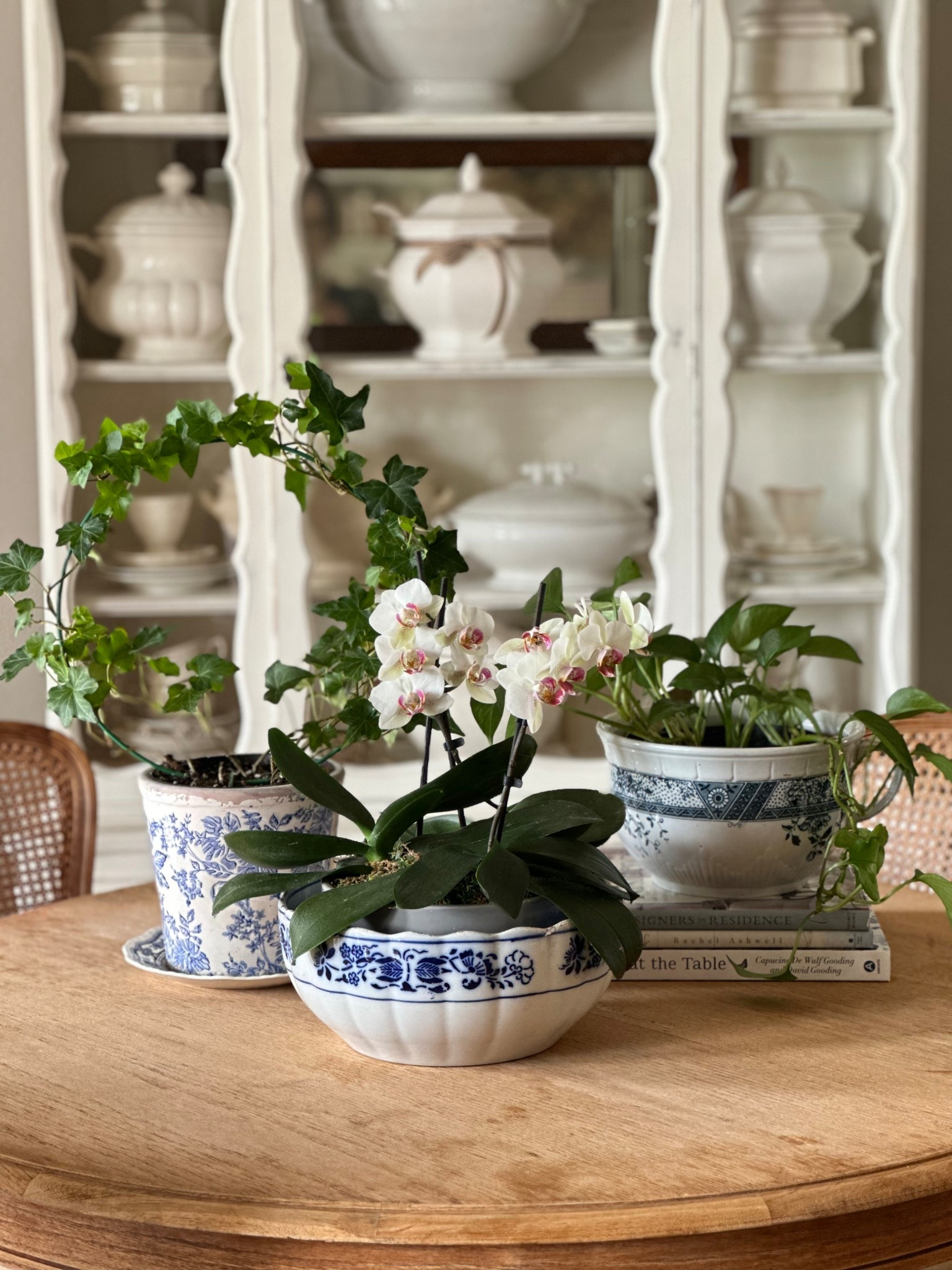 Flowers and plants displayed in blue and white bowls and planters are perfect classic decor for spring and summer.

Add in a stack of beautiful coffee table books for a designer look.

I’ve rounded up lots of beautiful blue and white containers and some of my favorite books. 

#topiairies #houseplants #orchids 
#blueandwhitedecor #blueandwhiteplanters 

#LTKHome #LTKStyleTip #LTKFindsUnder50