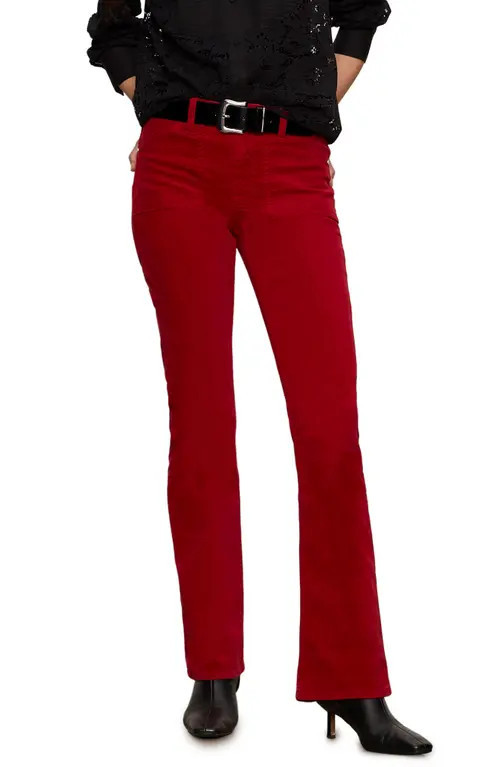 Sanctuary High Waist Bootcut Velveteen Pants in Cherry Red at Nordstrom, Size 32 P | Nordstrom