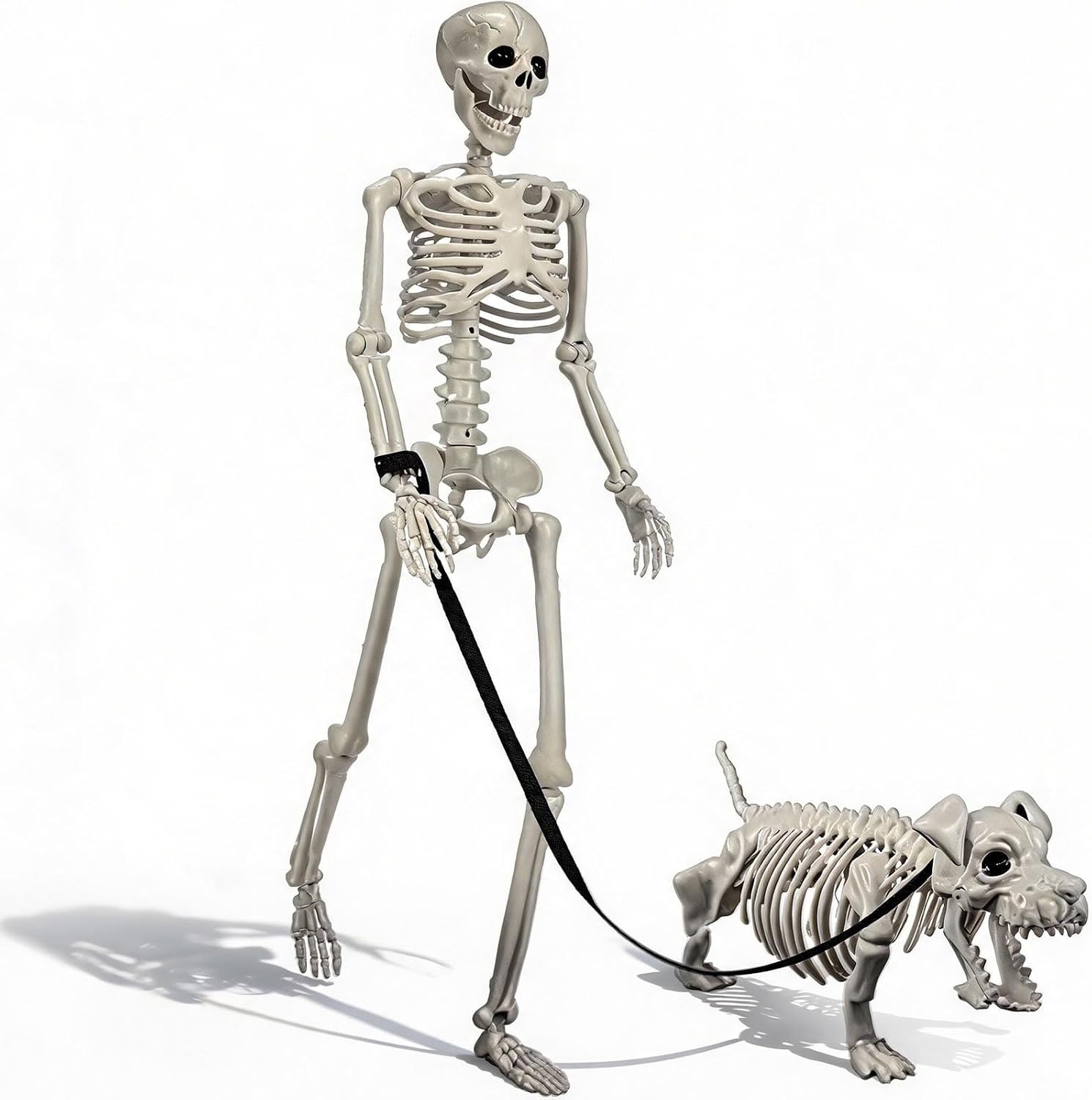 Human & Dog Skeleton Halloween Decorations Outdoor/Indoor | Amazon (US)