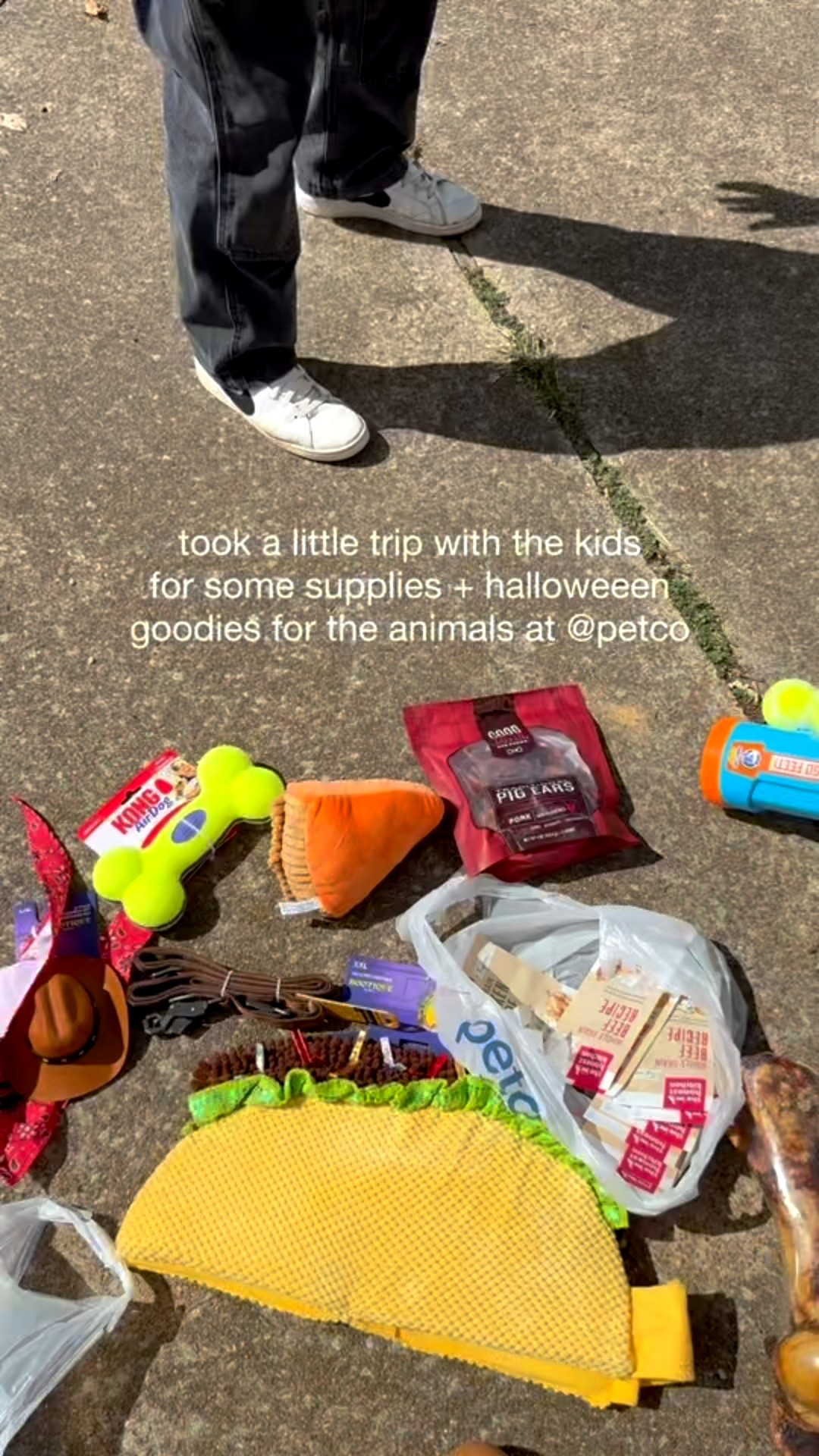 Happy Halloween from the Petrone Farm! I grabbed all our gear at Petco and the customer service was top notch! The kids loved finding the cutest toys and dressing the animals up was next level FUN! Max is ready for Halloween and even the goats got into it as well. 🎃

Follow my LTK @arrowsandbow on the @shop.LTK app to view this post and get my exclusive app-only content! @petco 

#liketkit #LTKPets #LTKHalloween #LTKSeasonal #ad #petcopartner
@shop.ltk
https://liketk.it/5qKlp