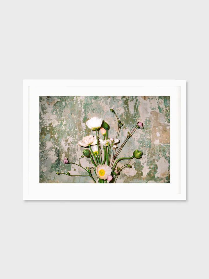 "Walls n Fleur" Framed Print | Verishop