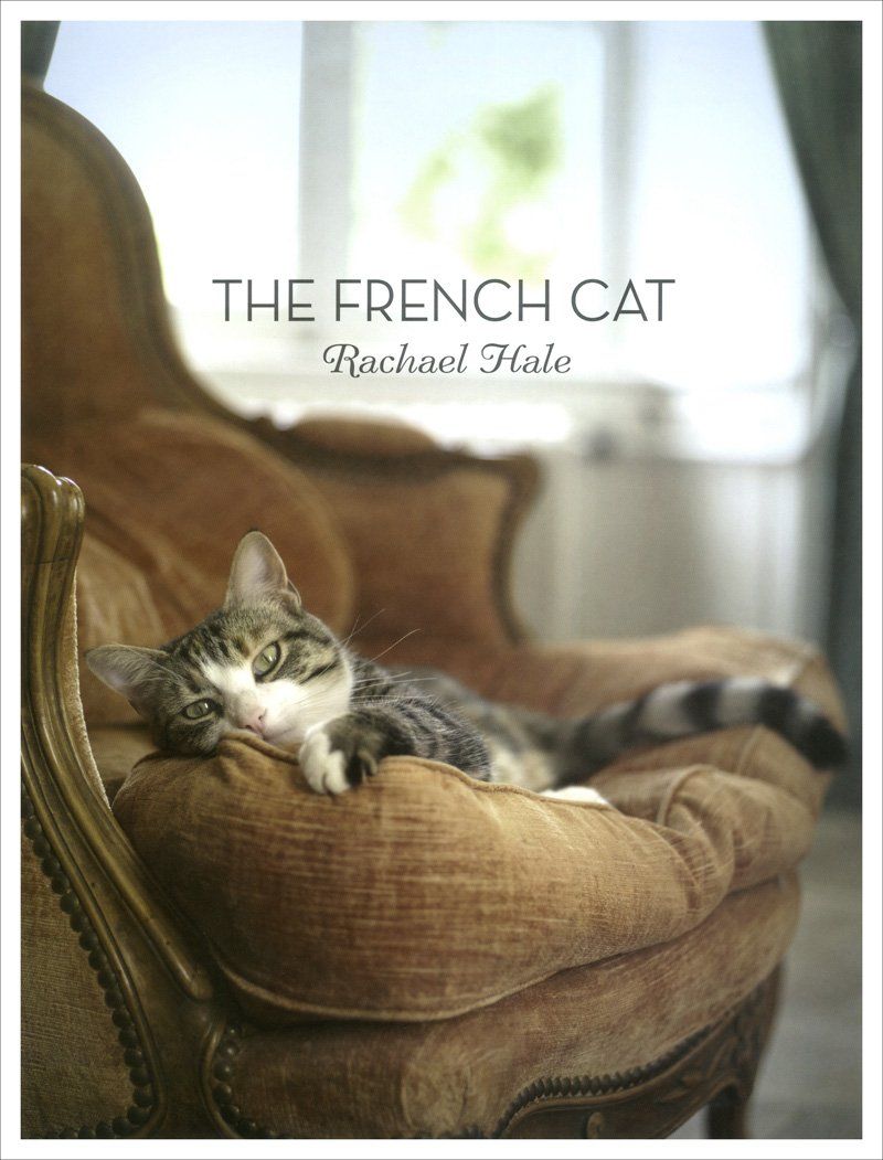 The French Cat | Amazon (US)