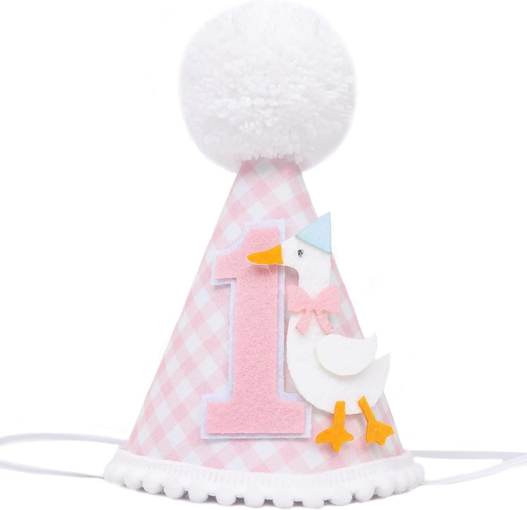 One Silly Goose Birthday Hat - Silly Goose 1st Birthday Decorations, Pink Gingham 1st Birthday Pa... | Amazon (US)